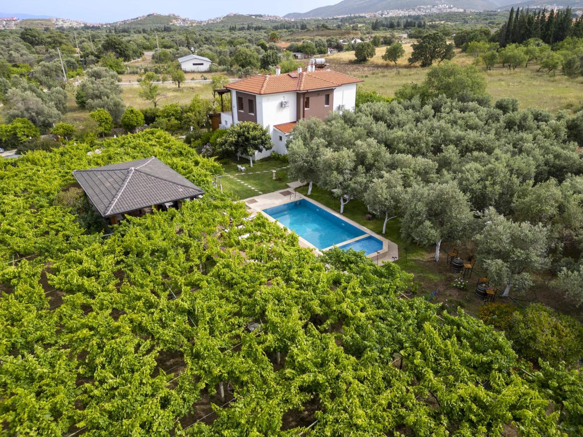 Отель Grape Datca Kizlan Экстерьер фото