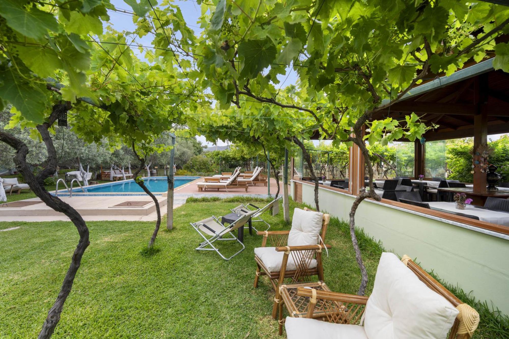Отель Grape Datca Kizlan Экстерьер фото